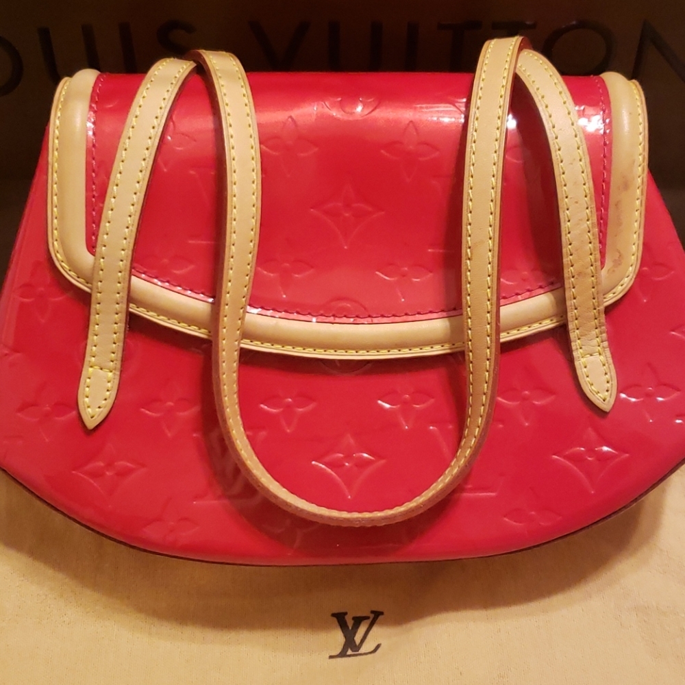Louis Vuitton small bag